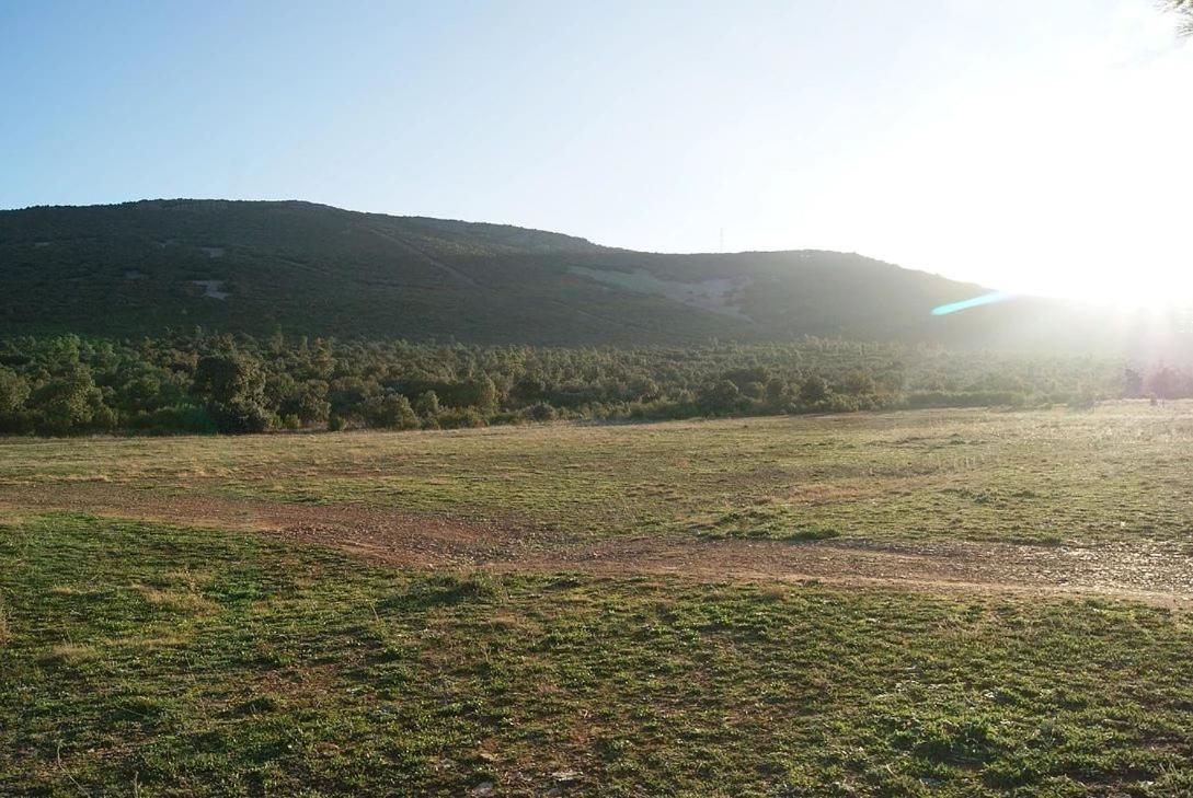 Villa La Dehesa Boyal Los Yébenes Esterno foto